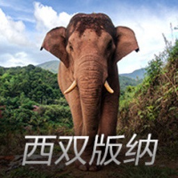 章子怡错失47亿犹太富豪，12克拉钻戒不敌协议，三婚汪峰终离场